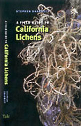 lichen book cover thumbnail graphic